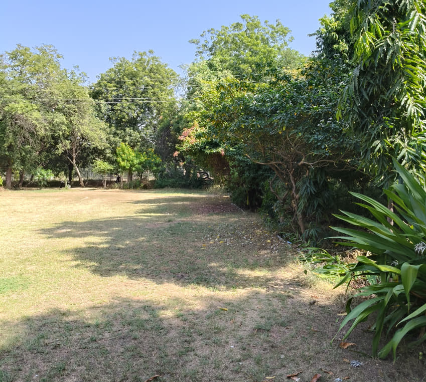 MBM Sports and Ground photo 2